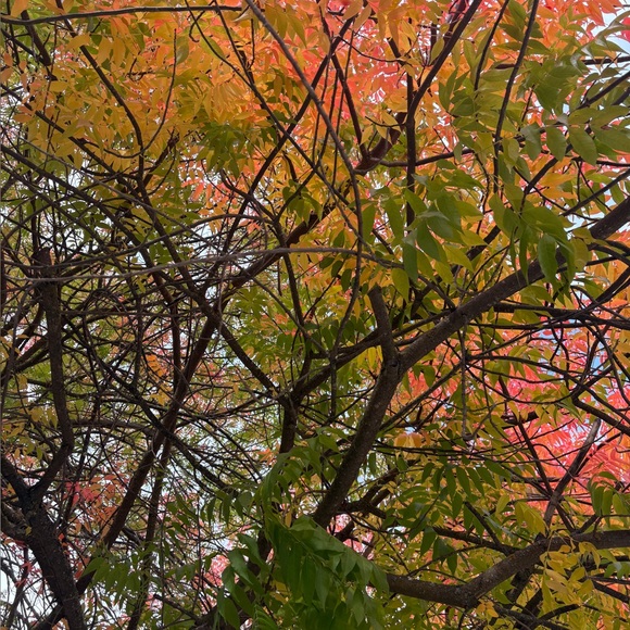 Meet your Posher. - Picture 1 of 2